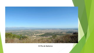 El Pla de Mallorca
 