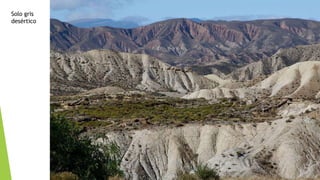 Solo gris
desértico
 