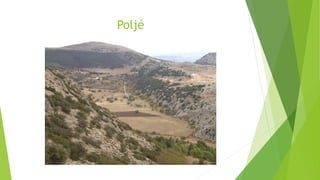 Poljé
 