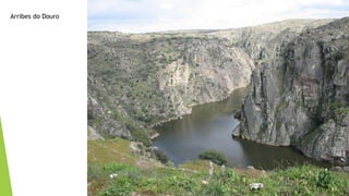 Arribes do Douro
 