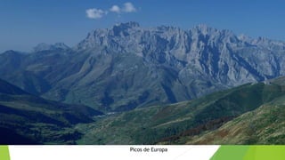 Picos de Europa
 