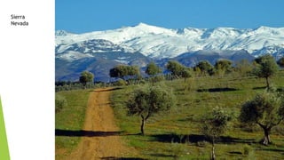 Sierra
Nevada
 