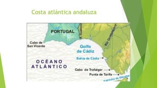 Costa atlántica andaluza
 