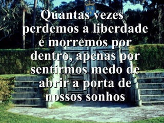 Quantas vezes perdemos a liberdade e morremos por dentro, apenas por sentirmos medo de abrir a porta de nossos sonhos 