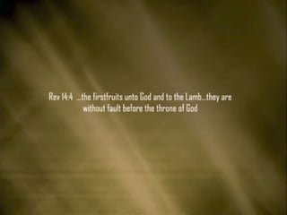 Omega of-deadly-heresies