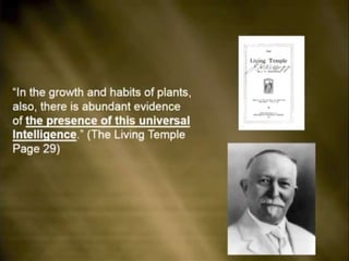 Omega of-deadly-heresies