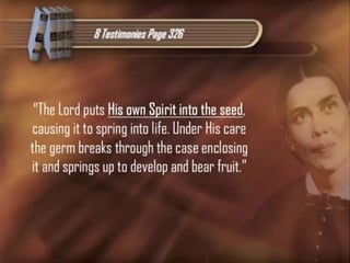 Omega of-deadly-heresies