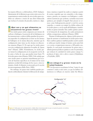 las mujeres (Kitson y colaboradores, 2010). Indepen-
dientemente de la diferencia que existe entre sexos, los
requerimientos nutricionales de estos ácidos grasos po-
drían ser cubiertos a través de una dieta balanceada
que incluya el consumo de pescados, mariscos y algas.
¿ Q u é s o n y e n q u é a l i m e n t o s s e
e n c u e n t r a n l a s g r a s a s t r a n s ?
Los ácidos grasos están compuestos por átomos de
carbono e hidrógeno. La posición de los hidrógenos en
las insaturaciones o enlaces dobles guardan dos posicio-
nes espaciales: la configuración cis tiene sus dos átomos
de hidrógeno en la misma dirección, mientras que la
configuración trans tiene sus dos átomos en direccio-
nes opuestas (Figura 2). De aquí que los ácidos grasos
con esta configuración adquieran el nombre de “grasas
trans” (Hunter, 2006). Normalmente, los ácidos gra-
sos tienen la configuración cis; la excepción son los de
la carne y leche de vaca, que pueden tener hasta 3%
de ácidos grasos trans (Hunter, 2006). Cabe señalar que
estos ácidos grasos se generan naturalmente por la ac-
ción de bacterias específicas en el rumen de las vacas
(primera cavidad del estómago de las vacas y otros ru-
miantes, donde el alimento es procesado por la acción
de microorganismos; Bello Pérez, 2006).
Sin embargo, las grasas trans también pueden pro-
ducirse artificialmente durante la fabricación de marga-
rinas y manteca vegetal, las cuales se originan a partir
de aceites vegetales que son sometidos a alta tempe-
ratura y presión, en conjunto con hidrógeno y catali-
zadores (sustancias que aceleran o retardan reacciones
químicas, por ejemplo el níquel). Este proceso se co-
noce como hidrogenación parcial o total de aceites
vegetales, y consiste en romper los dobles enlaces de
los ácidos grasos y, con la ayuda del hidrógeno, transfor-
marlos en grasas saturadas. Este cambio químico permi-
te la formación de margarinas, las cuales permanecen
sólidas a temperatura ambiente (Hunter, 2006).
Durante la hidrogenación, algunos ácidos grasos en
lugar de saturarse se transforman en ácidos grasos trans.
Estos cambios químicos también pueden ocurrir cuando
se utiliza por mucho tiempo el mismo aceite para freír
y se cocina a temperaturas mayores a 200 grados cen-
tígrados, lo cual puede incrementar las grasas trans y
además generar productos químicos como los peróxidos,
que reducen la cantidad de ácidos grasos omega-3 y
producen el típico olor y sabor a rancio (Aladedunye
y Przybylski, 2009).
L o s o m e g a - 3 y g r a s a s t r a n s e n l a
s a l u d h u m a n a
Con frecuencia escuchamos la frase “somos lo que
comemos”; nada es más cierto, ya que los hábitos ali-
menticios se reflejan en nuestra salud. En México
abril-junio 2013 • ciencia 63
• ¿Qué son los ácidos grasos omega-3 y las grasas trans
Figura 2. Ácido graso con una insaturación o doble enlace (monoinsaturado) en que se muestra la posición cis (arriba) y
trans (abajo) que pueden guardar los átomos de hidrógeno en la molécula.
HO
H
H
H H
HO
Configuración “cis”
Configuración “trans”
ω
09_745_Omega3.qxp9_.qxp7 11/03/13 19:45 Página 63
 
