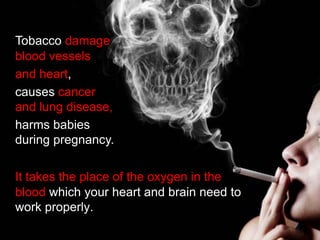 Tobacco damage
blood vessels
and heart,
causes cancer
and lung disease,
harms babies
during pregnancy.

It takes the place of the oxygen in the
blood which your heart and brain need to
work properly.
 