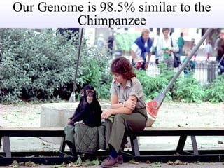 Our Genome is 98.5% similar to the
Chimpanzee

‫לחיות ללא תרופות‬

11

 