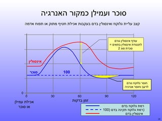 ‫סוכר ועמילן כמקור האנרגיה‬
‫קצב עליית גלוקוז ואינסולין בדם בעקבות אכילת חטיף מתוק או תפוח אדמה‬

‫עודף אינסולין גורם‬
‫לתנגודת אינסולין בתאים =‬
‫סכרת סוג 2‬

‫אינסולין‬
‫סוכר‬

‫001‬
‫חוסר גלוקוז גורם‬
‫לרעב וחוסר אנרגיה‬
‫021‬

‫09‬

‫06‬

‫זמן בדקות‬
‫רמת גלוקוז בדם‬
‫)רמת גלוקוז תקינה בדם )001‬
‫דקות‬
‫אינסולין בדם‬
‫52‬

‫03‬

‫0‬

‫0‬

‫אכילת עמילן‬
‫או סוכר‬

 