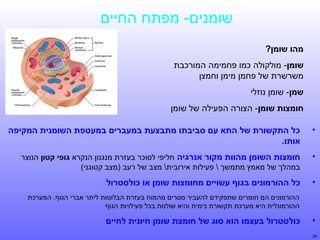 ‫שומנים- מפתח החיים‬
‫מהו שומן?‬
‫שומן- מולקולה כמו פחמימה המורכבת‬
‫משרשרת של פחמן מימן וחמצן‬
‫שמן- שומן נוזלי‬
‫חומצות שומן- הצורה הפעילה של שומן‬
‫•‬

‫כל התקשורת של התא עם סביבתו מתבצעת במעברים במעטפת השומנית המקיפה‬
‫אותו.‬

‫•‬

‫חומצות השומן מהוות מקור אנרגיה חליפי לסוכר בעזרת מנגנון הנקרא גופי קטון הנוצר‬
‫במהלך של מאמץ מתמשך  פעילות אירובית מצב של רעב )מצב קטוגני(‬

‫•‬

‫כל ההורמונים בגוף עשויים מחומצות שומן או כולסטרול‬
‫ההורמונים הם חומרים שתפקידם להעביר מסרים מהמוח בעזרת הבלוטות ליתר אברי הגוף. המערכת‬
‫ההורמונלית היא מערכת תקשורת כימית והיא שולטת בכל פעילויות הגוף‬

‫•‬
‫92‬

‫כולסטרול בעצמו הוא סוג של חומצת שומן חיונית לחיים‬

 