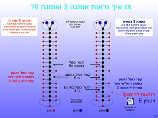 ‫אז איך נראות אומגה 3 ואומגה 6?‬
‫אומגה 3 צמחית‬

‫אומגה 6 צמחית‬

‫קבוצה קרבוקסילית‬
‫אוהבת מים‬
‫‪C-O-OH‬‬

‫חומצה לינולנית 3.81.3-‪n‬‬
‫זרעי ושמני פשתן מרווה )צ'יאה( המפ‬
‫שקדים אגוזים זרעים )לא דגנים(‬
‫עלים ירוקים ריג'לה‬

‫חומצה לינולאית 2.81.6-‪n‬‬
‫דגנים תירס שקדים אגוזים זרעים‬
‫שמנים צמחיים: שמן חמניות חריע‬
‫סויה תירס שומשום‬

‫קשר כפול‬
‫באטום ה9‬
‫קשר כפול באטום‬
‫ה6‬

‫קשר כפול ראשון‬
‫באטום השלישי מצד‬
‫המתיל = אומגה 3‬

‫קשר כפול באטום‬
‫ה3‬

‫רגישות לחימצון!‬
‫ויטמין ‪E‬‬
‫‪äçùéáåú ùì‬‬
‫‪åéèîéï E‬‬
‫53‬

‫קשר כפול ראשון‬
‫באטום השישי מצד‬
‫המתיל = אומגה 6‬

‫קבוצת מתיל‬
‫שונאת מים‬

‫פחמן‬

‫חמצן‬

‫מימן‬

 