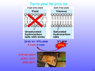 ‫מה הנזק של שומן טרנס?‬
‫מקטע קשיח חוסם‬

‫שומן רווי‬
‫טרנס‬

‫מקטע גמיש מעביר‬

‫שומן בלתי רווי )ציס(‬
‫אומגה 3 אומגה 6‬

‫חימום אגרסיבי‬
‫עיבוד המזון‬
‫טיגון עמוק‬
‫63‬

 