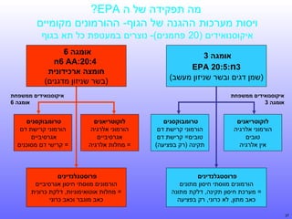 ‫מה תפקידה של ה ‪?EPA‬‬
‫ויסות מערכות ההגנה של הגוף- ההורמונים מקומיים‬
‫איקוסנואידים )02 פחמנים(- נוצרים במעטפת כל תא בגוף‬
‫אומגה 3‬
‫3‪EPA 20:5:n‬‬
‫)שמן דגים ובשר שניזון מעשב(‬

‫אומגה 6‬
‫4:02:‪n6 AA‬‬
‫חומצה ארכידונית‬
‫)בשר שניזון מדגנים(‬

‫איקוסנואידים ממשפחת‬
‫אומגה 3‬

‫לוקוטריאנים‬
‫הורמוני אלרגיה‬
‫טובים‬
‫אין אלרגיה‬

‫איקוסנואידים ממשפחת‬
‫אומגה 6‬

‫טרומבוקסנים‬
‫הורמוני קרישת דם‬
‫טובים= קרישת דם‬
‫תקינה )רק בפציעה(‬

‫פרוסטגלנדינים‬
‫הורמונים מווסתי חיסון מתונים‬
‫= מערכת חיסון תקינה, דלקת מתונה‬
‫כאב מתון, לא כרוני, רק בפציעה‬
‫73‬

‫לוקוטריאנים‬
‫הורמוני אלרגיה‬
‫אגרסיביים‬
‫= מחלות אלרגיה‬

‫טרומבוקסנים‬
‫הורמוני קרישת דם‬
‫אגרסיביים‬
‫= קרישי דם מסוכנים‬

‫פרוסטגלנדינים‬
‫הורמונים מווסתי חיסון אגרסיביים‬
‫= מחלות אוטואימוניות, דלקת כרונית‬
‫כאב מוגבר וכאב כרוני‬

 