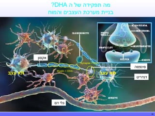 ‫מה תפקידה של ה ‪?DHA‬‬
‫בניית מערכת העצבים והמוח‬

‫אקסון‬
‫‪Synapse = DHA‬‬

‫סינפסה‬
‫דנדריט‬

‫תא עצב‬

‫‪Myelin = DHA‬‬

‫תא עצב‬

‫כלי דם‬
‫83‬
‫83‬

 