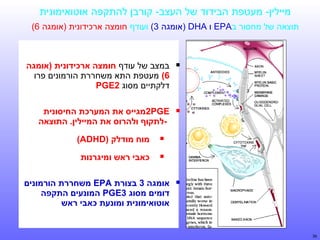 ‫מיילין- מעטפת הבידוד של העצב- קורבן להתקפה אוטואימונית‬
‫תוצאה של מחסור ב‪ EPA‬ו ‪) DHA‬אומגה 3( ועודף חומצה ארכידונית )אומגה 6(‬

‫‪‬‬

‫במצב של עודף חומצה ארכידונית )אומגה‬
‫6( מעטפת התא משחררת הורמונים פרו‬
‫דלקתיים מסוג 2‪PGE‬‬

‫‪‬‬

‫‪2PGE‬מגייס את המערכת החיסונית‬
‫-לתקוף ולהרוס את המיילין. התוצאה‬

‫‪‬‬
‫‪‬‬
‫‪‬‬

‫93‬

‫מוח מודלק )‪(ADHD‬‬
‫כאבי ראש ומיגרנות‬

‫אומגה 3 בצורת ‪ EPA‬משחררת הורמונים‬
‫דומים מסוג 3‪ PGE‬המונעים התקפה‬
‫אוטואימונית ומונעת כאבי ראש‬

 