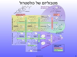 ‫מטבוליזם של כולסטרול‬

‫27‬

‫לחיות ללא תרופות‬

 