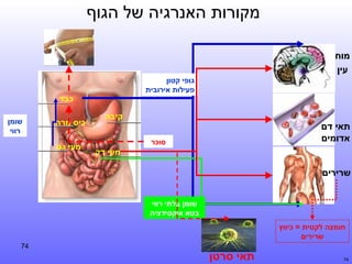 ‫מקורות האנרגיה של הגוף‬
‫מוח‬
‫עין‬
‫גופי קטון‬
‫פעילות אירובית‬

‫כבד‬
‫קיבה‬

‫תאי דם‬
‫אדומים‬

‫סוכר‬

‫מעי דק‬

‫כיס מרה‬

‫שומן‬
‫רווי‬

‫מעי גס‬

‫שרירים‬
‫שומן בלתי רווי‬
‫בטא אוקסידציה‬
‫חומצה לקטית = כיווץ‬
‫שרירים‬
‫47‬

‫תאי סרטן‬

‫47‬

 