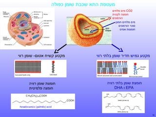 ‫מעטפת התא שכבת שומן כפולה‬
‫2‪ CO‬מים מלחים‬
‫חומצה לקטית‬
‫הורמונים‬
‫מים מלחים חמצן‬
‫סוכר הורמונים‬
‫חומצות אמינו‬

‫מקטע גמיש חדיר שומן בלתי רווי‬

‫חומצת שומן בלתי רוויה‬
‫‪ EPA‬ו ‪DHA‬‬

‫67‬

‫מקטע קשיח אטום- שומן רווי‬

‫חומצת שומן רוויה‬
‫חומצה פלמיטית‬

 