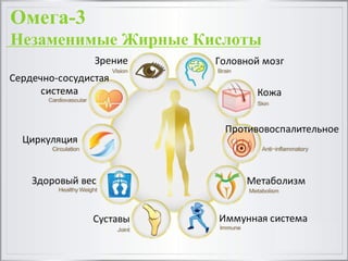 Омега-3
Незаменимые Жирные Кислоты
Зрение Головной	
  мозг
Кожа
Противовоспалительное
Метаболизм
Иммунная	
  системаСуставы
Здоровый	
  вес
Циркуляция
Сердечно-­‐сосудистая
система
 