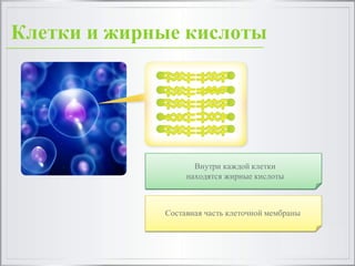 Клетки и жирные кислоты
Внутри каждой клетки
находятся жирные кислоты
Составная часть клеточной мембраны
 