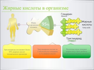 Жирные кислоты в организме
Жиры
в организме
человека
Триглицериды составляют более
95% жирных кислот
человеческого организма
Триглицериды состоят из
1-ой молекулы глицерина
и 3-х жирных кислот
Различные виды пищевых
жиров могут быть разбиты
на различные жирные кислоты
Глицерин
Жирные
кислоты
Триглицерид
 