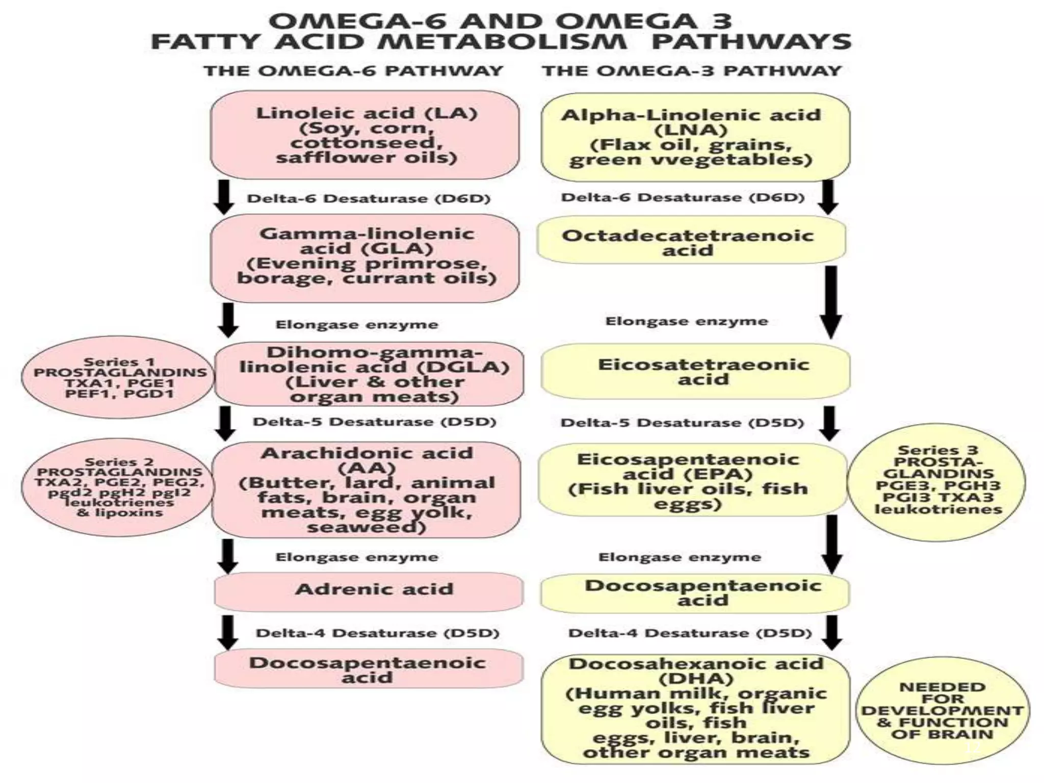 Cardiovascular Health