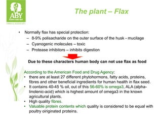 • Normally flax has special protection:
– 8-9% polisacharide on the outer surface of the husk - mucilage
– Cyanogenic molecules – toxic
– Protease inhibitors – inhibits digestion
Due to these characters human body can not use flax as food
The plant – Flax
According to the American Food and Drug Agency:
• there are at least 27 different phytohormons, fatty acids, proteins,
fibres and other beneficial ingredients for human health in flax seed.
• It contains 40-45 % oil, out of this 56-60% is omega3, ALA (alpha-
linolenic-acid) which is highest amount of omega3 in the known
agricultural plants.
• High quality fibres.
• Valuable protein contents which quality is considered to be equal with
poultry oiriginated proteins.
 