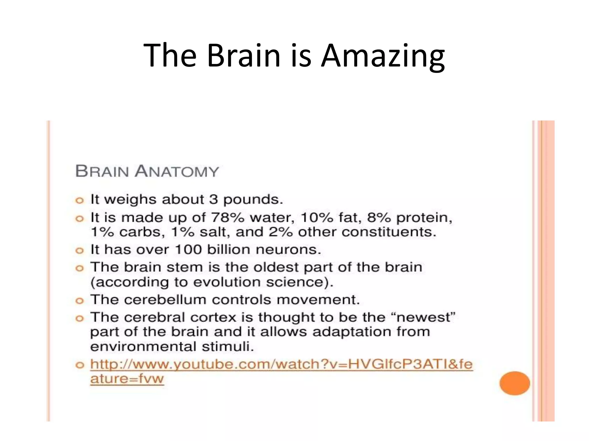 The Brain is Amazing
 