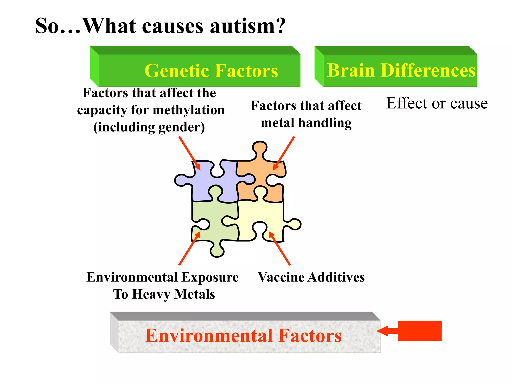 So…What causes autism?
Genetic Factors
Factors that affect the
capacity for methylation
(including gender)
Factors that affect
metal handling
Environmental Factors
Vaccine AdditivesEnvironmental Exposure
To Heavy Metals
Brain Differences
Effect or cause
 