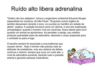 Ruído alto libera adrenalina  "Orelha não tem pálpebra", brinca o engenheiro ambiental Eduardo Murgel, especialista em acústica, de São Paulo. "Enquanto outros órgãos do sentido descansam durante o sono, os ouvidos se mantêm em estado de alerta", explica. A audição funciona como um alarme, e isso tem explicação antropológica: quando o homem vivia em cavernas, ficava atento para ouvir quando um animal se aproximava. Ao perceber o perigo, seu cérebro produzia quantidade extra de adrenalina, deixando o corpo preparado para o combate ou para a fuga. O barulho sempre foi associado a circunstâncias que causam temor . Hoje o homem não precisa mais se defender de predadores, mas seu sistema de defesa continua o mesmo: sempre que ouve um ruído alto, o nível de adrenalina aumenta, fazendo subir a pressão arterial e gerando estresse instantâneo. 