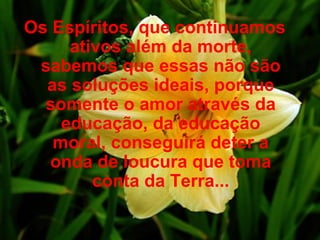 Os Espíritos, que continuamos ativos além da morte, sabemos que essas não são as soluções ideais, porque somente o amor através da educação, da educação moral, conseguirá deter a onda de loucura que toma conta da Terra... 