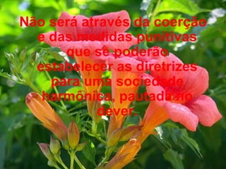 Não será através da coerção e das medidas punitivas que se poderão estabelecer as diretrizes para uma sociedade harmônica, pautada no dever.   
