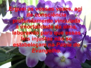 Erguei as vossas vozes, agi de consciência profundamente vinculada à imortalidade da alma, laborando para que essas leis injustas não se estabeleçam na  Pátria do Evangelho. 