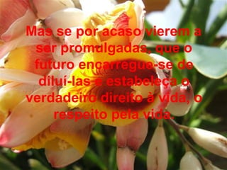Mas se por acaso vierem a ser promulgadas, que o futuro encarregue-se de diluí-las e estabeleça o verdadeiro direito à vida, o respeito pela vida. 