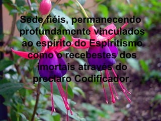 Sede fiéis, permanecendo profundamente vinculados ao espírito do Espiritismo como o recebestes dos imortais através do preclaro Codificador. 