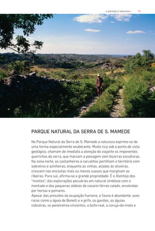 41o alentejo é natureza «
PARQUE NATURAL DA SERRA DE S. MAMEDE
No Parque Natural da Serra de S. Mamede a natureza exprime-se de
uma forma especialmente exuberante. Muito rica sob o ponto de vista
geológico, chamam de imediato a atenção do viajante os imponentes
quartzitos da serra, que marcam a paisagem com bizarras esculturas.
Na zona norte, os castanheiros e carvalhos partilham o território com
sobreiros e azinheiras, enquanto as vinhas, aliadas às oliveiras,
crescem nas encostas mais ou menos suaves que marginam as
ribeiras. Para sul, afirma-se a grande propriedade. É o Alentejo dos
“montes”, das explorações pecuárias em natural simbiose com o
montado e das pequenas aldeias de casario térreo caiado, envolvidas
por hortas e pomares.
Apesar das pressões da ocupação humana, a fauna é abundante: aves
raras como a águia de Bonelli e o grifo, os gaviões, as águias
cobreiras, os peneireiros-cinzentos, o bufo-real, a coruja-do-mato e
 