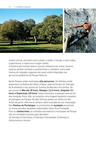 42 » o alentejo é natureza
muitas outras, convivem com o javali, o veado, o texugo, o saca-rabos,
o gato-bravo, a raposa ou o vulgar coelho.
A história dos homens deixou marcas milenares em antas, menires,
castros, pontes romanas e quinhentistas e, também, numa rede
imensa de calçadas, algumas das quais estão integradas nos
percursos pedestres do Parque Natural.
Neste Parque estão sinalizados oito percursos. Os folhetos estão
disponíveis na Quinta dos Olhos d’Água, sede do Parque (S. Salvador
de Aramenha) e nos postos de Turismo de Marvão e Arronches. Os
percursos de Marvão (8 kms), Galegos (11,5 kms), Alegrete (11
kms) e Esperança (16 kms), todos acessíveis a qualquer pessoa em
boa condição física, dão, no conjunto, uma imagem bastante completa
da paisagem do Parque. Os dois últimos podem ser feitos em btt.
Antes de partir, informe-se sempre sobre o estado da sua sinalização.
Nas Penhas de Portalegre, os praticantes de escalada encontram
as únicas paredes equipadas autorizadas nesta Área Protegida.
Para os cicloturistas, as estradas secundárias e municipais do Parque
são um verdadeiro paraíso para descobrir.
(O Alentejo é Património, O Alentejo é Ruralidade, O Alentejo é
Gastronomia e Vinhos)
 