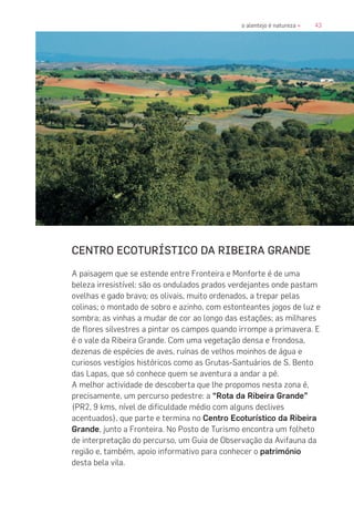 43o alentejo é natureza «
CENTRO ECOTURÍSTICO DA RIBEIRA GRANDE
A paisagem que se estende entre Fronteira e Monforte é de uma
beleza irresistível: são os ondulados prados verdejantes onde pastam
ovelhas e gado bravo; os olivais, muito ordenados, a trepar pelas
colinas; o montado de sobro e azinho, com estonteantes jogos de luz e
sombra; as vinhas a mudar de cor ao longo das estações; as milhares
de flores silvestres a pintar os campos quando irrompe a primavera. E
é o vale da Ribeira Grande. Com uma vegetação densa e frondosa,
dezenas de espécies de aves, ruínas de velhos moinhos de água e
curiosos vestígios históricos como as Grutas-Santuários de S. Bento
das Lapas, que só conhece quem se aventura a andar a pé.
A melhor actividade de descoberta que lhe propomos nesta zona é,
precisamente, um percurso pedestre: a “Rota da Ribeira Grande”
(PR2, 9 kms, nível de dificuldade médio com alguns declives
acentuados), que parte e termina no Centro Ecoturístico da Ribeira
Grande, junto a Fronteira. No Posto de Turismo encontra um folheto
de interpretação do percurso, um Guia de Observação da Avifauna da
região e, também, apoio informativo para conhecer o património
desta bela vila.
 