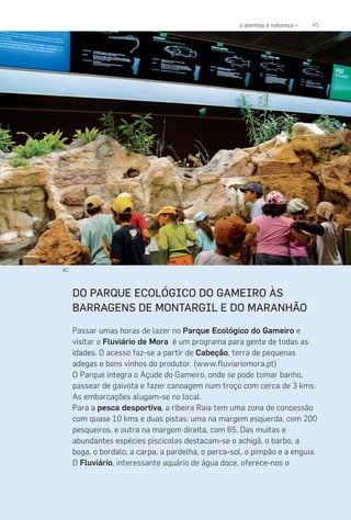 45o alentejo é natureza «
DO PARQUE ECOLÓGICO DO GAMEIRO ÀS
BARRAGENS DE MONTARGIL E DO MARANHÃO
Passar umas horas de lazer no Parque Ecológico do Gameiro e
visitar o Fluviário de Mora é um programa para gente de todas as
idades. O acesso faz-se a partir de Cabeção, terra de pequenas
adegas e bons vinhos do produtor. (www.fluviariomora.pt)
O Parque integra o Açude do Gameiro, onde se pode tomar banho,
passear de gaivota e fazer canoagem num troço com cerca de 3 kms.
As embarcações alugam-se no local.
Para a pesca desportiva, a ribeira Raia tem uma zona de concessão
com quase 10 kms e duas pistas: uma na margem esquerda, com 200
pesqueiros, e outra na margem direita, com 65. Das muitas e
abundantes espécies piscícolas destacam-se o achigã, o barbo, a
boga, o bordalo, a carpa, a pardelha, o perca-sol, o pimpão e a enguia.
O Fluviário, interessante aquário de água doce, oferece-nos o
AC
 