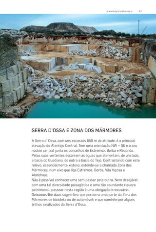 47o alentejo é natureza «
SERRA D’OSSA E ZONA DOS MÁRMORES
A Serra d’ Ossa, com uns escassos 650 m de altitude, é a principal
elevação do Alentejo Central. Tem uma orientação NW – SE e o seu
núcleo central junta os concelhos de Estremoz, Borba e Redondo.
Pelas suas vertentes escorrem as águas que alimentam, de um lado,
a bacia do Guadiana, do outro a bacia do Tejo. Contrastando com este
relevo, essencialmente xistoso, estende-se a chamada Zona dos
Mármores, num eixo que liga Estremoz, Borba, Vila Viçosa e
Alandroal.
Não é possível conhecer uma sem passar pela outra. Nem desejável:
com uma tal diversidade paisagística e uma tão abundante riqueza
patrimonial, passear nesta região é uma obrigação irrecusável.
Deixamos-lhe duas sugestões: que percorra uma parte da Zona dos
Mármores de bicicleta ou de automóvel; e que caminhe por alguns
trilhos sinalizados da Serra d’Ossa.
 