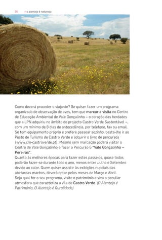 56 » o alentejo é natureza
Como deverá proceder o viajante? Se quiser fazer um programa
organizado de observação de aves, tem que marcar a visita no Centro
de Educação Ambiental de Vale Gonçalinho – o coração das herdades
que a LPN adquiriu no âmbito do projecto Castro Verde Sustentável –,
com um mínimo de 8 dias de antecedência, por telefone, fax ou email.
Se tem equipamento próprio e prefere passear sozinho, basta-lhe ir ao
Posto de Turismo de Castro Verde e adquirir o livro de percursos
(www.cm-castroverde.pt). Mesmo sem marcação poderá visitar o
Centro de Vale Gonçalinho e fazer o Percurso 6 “Vale Gonçalinho –
Pereiras”.
Quanto às melhores épocas para fazer estes passeios, quase todos
poderão fazer-se durante todo o ano, menos entre Julho e Setembro
devido ao calor. Quem quiser assistir às exibições nupciais das
abetardas machos, deverá optar pelos meses de Março e Abril.
Seja qual for o seu programa, visite o património e viva a peculiar
atmosfera que caracteriza a vila de Castro Verde. (O Alentejo é
Património, O Alentejo é Ruralidade)
 
