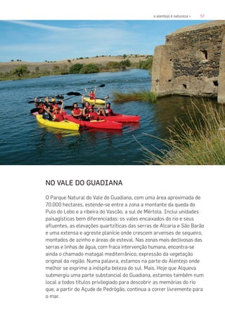 57o alentejo é natureza «
NO VALE DO GUADIANA
O Parque Natural do Vale do Guadiana, com uma área aproximada de
70.000 hectares, estende-se entre a zona a montante da queda do
Pulo do Lobo e a ribeira do Vascão, a sul de Mértola. Inclui unidades
paisagísticas bem diferenciadas: os vales encaixados do rio e seus
afluentes, as elevações quartzíticas das serras de Alcaria e São Barão
e uma extensa e agreste planície onde crescem arvenses de sequeiro,
montados de azinho e áreas de esteval. Nas zonas mais declivosas das
serras e linhas de água, com fraca intervenção humana, encontra-se
ainda o chamado matagal mediterrânico, expressão da vegetação
original da região. Numa palavra, estamos na parte do Alentejo onde
melhor se exprime a inóspita beleza do sul. Mais. Hoje que Alqueva
submergiu uma parte substancial do Guadiana, estamos também num
local a todos títulos privilegiado para descobrir as memórias do rio
que, a partir do Açude de Pedrógão, continua a correr livremente para
o mar.
 