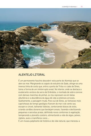 61o alentejo é natureza «
ALENTEJO LITORAL
É um permanente fascínio descobrir esta parte do Alentejo que se
abre ao mar. Marginando os sapais do estuário do Sado, atinge-se uma
imensa linha de costa que, entre a ponta de Tróia e o cabo de Sines,
toma a forma de um ininterrupto areal. No interior, onde se destaca a
exuberante verdura da serra de Grândola, o montado de sobro convive
com densas manchas de pinhal, os rios represam-se em belas
albufeiras e a abundância da água dá vida a extensos arrozais.
Subitamente, a paisagem muda. Para sul de Sines, as fantasias mais
caprichosas do tempo geológico fizeram do mar e do vento seu
escopro e cinzel, talhando falésias, contorcendo blocos de xisto,
criando cordões dunares que bordejam areais, fazendo e desfazendo
pequenas e secretas praias, definindo novos contornos à vegetação,
temperando o planalto costeiro, alimentando a vida de algas, peixes,
répteis, aves e mamíferos raros …
É um museu palpitante de história e de vida natural, que mereceu a
 