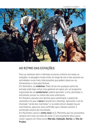 71o alentejo é ruralidade «
AO RITMO DAS ESTAÇÕES
Para se conhecer bem o Alentejo é preciso visitá-lo em todas as
estações. A paisagem muda muito ao longo do ano e são sazonais as
actividades rurais mais interessantes que podem observar-se.
Comecemos o ciclo pelo Outono.
Em Setembro, as vindimas. Pode vê-las em qualquer ponto da
estrada onde haja vinhas mas ganhará em optar por um programa
organizado de um enoturismo: poderá aprender a arte, participar e,
entretanto, provar os vinhos dos anos anteriores.
Em Outubro, passeie sem destino para contemplar a paleta de
castanhos em que a lavra transforma o Alentejo. Aproveite o sol do
chamado “verão dos marmelos” e, se onde estiver alojado houver
marmeleiros, peça aos seus anfitriões que o deixem assistir à
confecção caseira da marmelada.
Em Novembro, prove o vinho novo no S. Martinho que nos presenteia
sempre com mais uns dias de verão. É uma excelente altura para
visitar lugares em festa como Marvão, Cabeção, Borba ou Vila de
Frades.
 