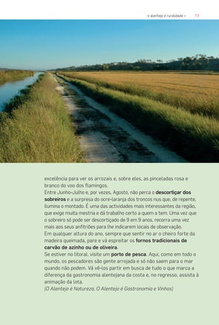 73o alentejo é ruralidade «
excelência para ver os arrozais e, sobre eles, as pinceladas rosa e
branco do voo dos flamingos.
Entre Junho-Julho e, por vezes, Agosto, não perca o descortiçar dos
sobreiros e a surpresa do ocre-laranja dos troncos nus que, de repente,
ilumina o montado. É uma das actividades mais interessantes da região,
que exige muita mestria e dá trabalho certo a quem a tem. Uma vez que
o sobreiro só pode ser descortiçado de 9 em 9 anos, recorra uma vez
mais aos seus anfitriões para lhe indicarem locais de observação.
Em qualquer altura do ano, sempre que sentir no ar o cheiro forte da
madeira queimada, pare e vá espreitar os fornos tradicionais de
carvão de azinho ou de oliveira.
Se estiver no litoral, visite um porto de pesca. Aqui, como em todo o
mundo, os pescadores são gente arrojada e só não saem para o mar
quando não podem. Vá vê-los partir em busca de tudo o que marca a
diferença da gastronomia alentejana da costa e, no regresso, assista à
animação da lota.
(O Alentejo é Natureza, O Alentejo é Gastronomia e Vinhos)
 