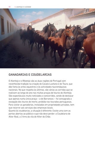 90 » o alentejo é ruralidade
GANADARIAS E COUDELARIAS
O Alentejo e o Ribatejo são as duas regiões de Portugal com
reconhecida tradição na criação do Cavalo Lusitano e do Touro, que
dão fama às artes equestres e às actividades tauromáquicas
nacionais. No que respeita às últimas, são várias as corridas que se
realizam ao longo do ano nas muitas praças de touros do Alentejo.
São espectáculos muito noticiados e concorridos, sendo de destacar
que apenas numa única praça – a de Barrancos – foi consagrada a
excepção dos touros de morte, proibida nas touradas portuguesas.
Para visitar as ganadarias, instaladas em propriedades privadas, tem
que recorrer aos serviços das empresas locais.
Quanto às coudelarias, a situação é diferente. Existe uma com as
portas abertas ao público e que não deve perder: a Coudelaria de
Alter Real, a 3 kms da vila de Alter do Chão.
 