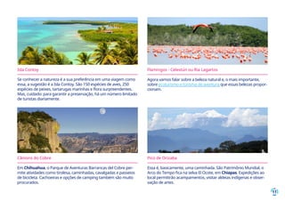 11
Se conhecer a natureza é a sua preferência em uma viagem como
essa, a sugestão é a Isla Contoy. São 150 espécies de aves, 250
espécies de peixes, tartarugas marinhas e flora surpreendentes.
Mas, cuidado: para garantir a preservação, há um número limitado
de turistas diariamente.
Isla Contoy
Agora vamos falar sobre a beleza natural e, o mais importante,
sobre ecoturismo e turismo de aventura que essas belezas propor-
cionam.
Flamingos - Celestún ou Ria Lagartos
Em Chihuahua, o Parque de Aventuras Barrancas del Cobre per-
mite atividades como tirolesa, caminhadas, cavalgadas e passeios
de bicicleta. Cachoeiras e opções de camping também são muito
procurados.
Essa é, basicamente, uma caminhada. São Patrimônio Mundial, o
Arco do Tempo fica na selva El Ocote, em Chiapas. Expedições ao
local permitirão acampamentos, visitar aldeias indígenas e obser-
vação de artes.
Cânions do Cobre Pico de Orizaba
 