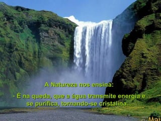 O melhor jeito_de_caminhar